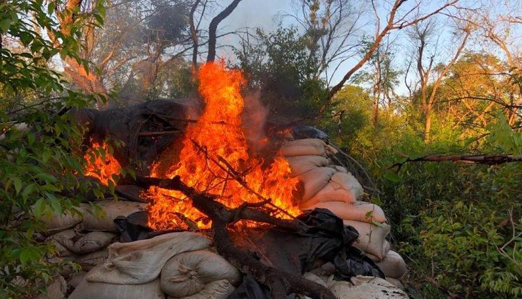 Ação na fronteira de MS fecha depósito de maconha avaliada em U$ 7,5 milhões
