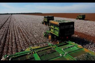 Pagamento do FCO é prorrogado até dezembro