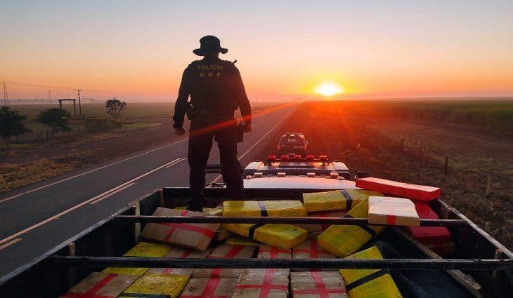 DOF comemora 34 anos de criação nesta sexta-feira com recordes de apreensões