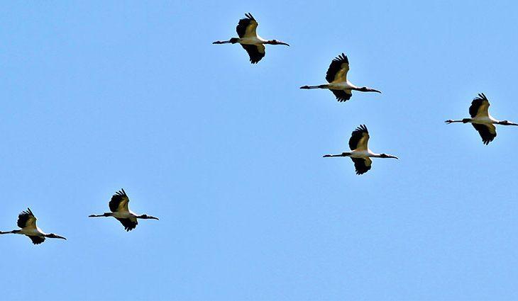 Previsão do Tempo: Nova frente fria deve chegar ao Estado na quinta-feira