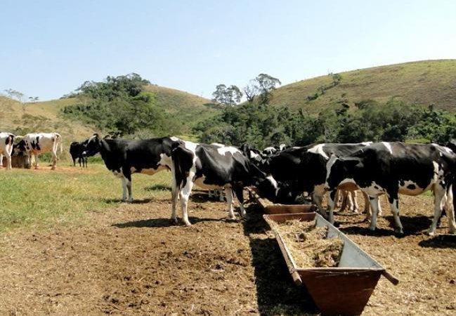 Sancionada lei de incentivo à permanência de jovens e adultos no meio rural de MS