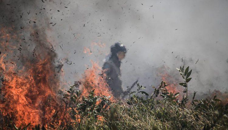 Outono será marcado por baixa umidade do ar e pode favorecer queimadas