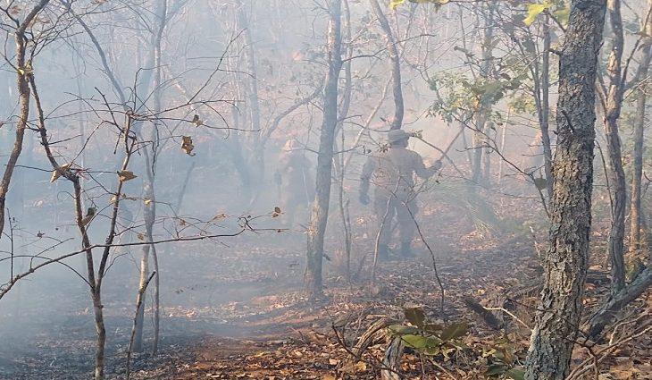 ‘Queima controlada’ no Pantanal está suspensa até 30 de outubro