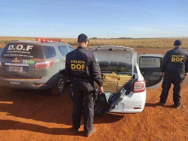 Homem "investe" no tráfico, mas acaba preso com maconha